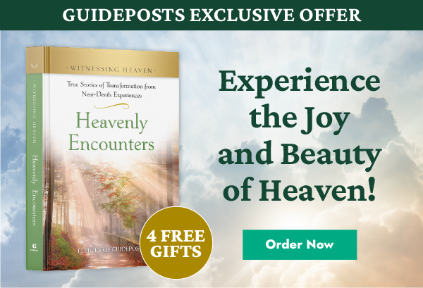 Witnessing Heaven Book 1 - Heavenly Encounters