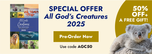 All God's Creatures 2025