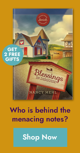 Blessings in Disguise - Sugarcreek Amish Mysteries - Series - Book 1