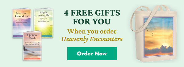 Witnessing Heaven Book 1 - Heavenly Encounters