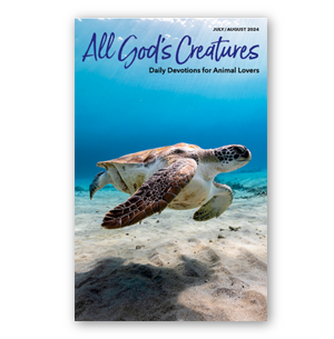 All God's Creatures Magazine