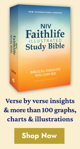 Faithlife Illustrated Study Bible