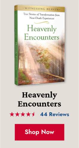 Witnessing Heaven Book 1: Heavenly Encounters