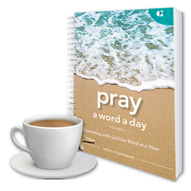 Pray a Word a Day Volume 2